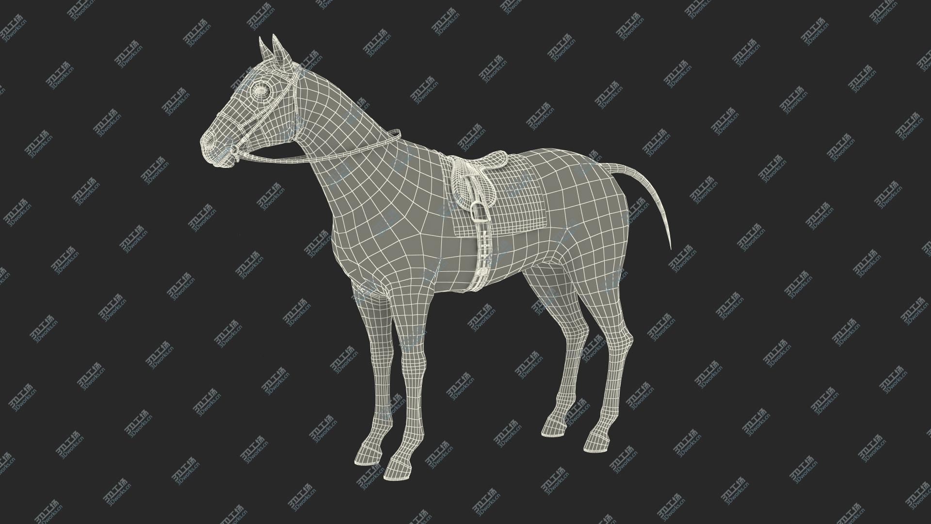 images/goods_img/20210313/3D Bay Racehorse Fur Rigged/5.jpg